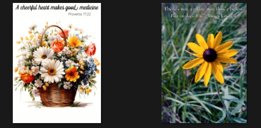 Screenshot 2025-07-30 140718.png